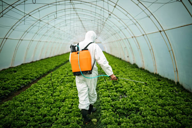 Best Affordable Pest Control Services  in Burke Centre, VA