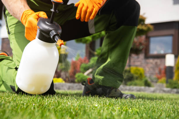 Best Pest Control for Homes  in Burke Centre, VA
