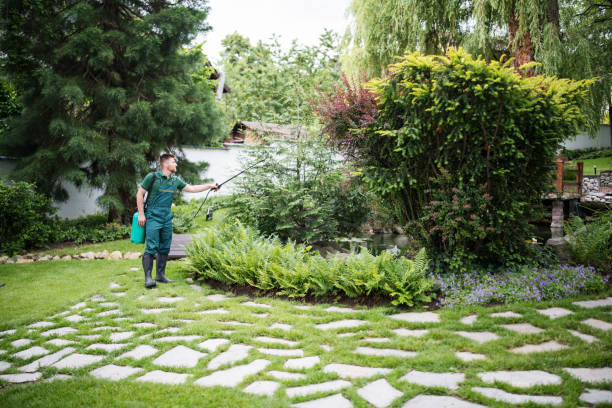Pest Prevention Services in Burke Centre, VA