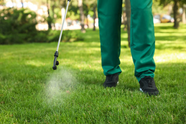 Best Affordable Pest Control Services  in Burke Centre, VA