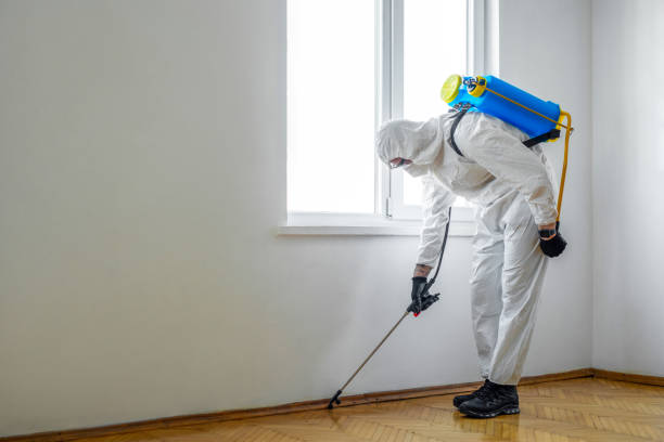 Best Best Pest Control Companies  in Burke Centre, VA