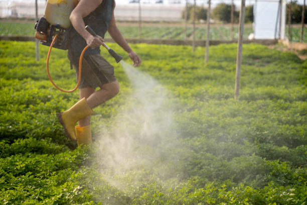 Best Affordable Pest Control Services  in Burke Centre, VA