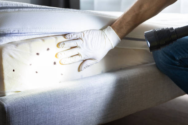 Best Pest Inspection Near Me  in Burke Centre, VA