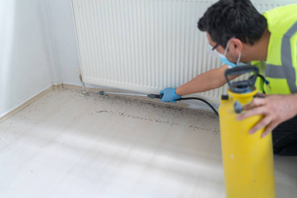 Best Residential Pest Control  in Burke Centre, VA