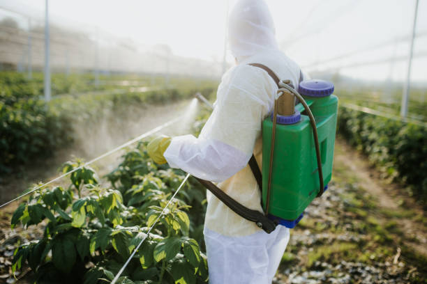 Best Commercial Pest Control Services  in Burke Centre, VA